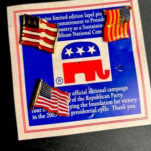 3 patriotic flag pins